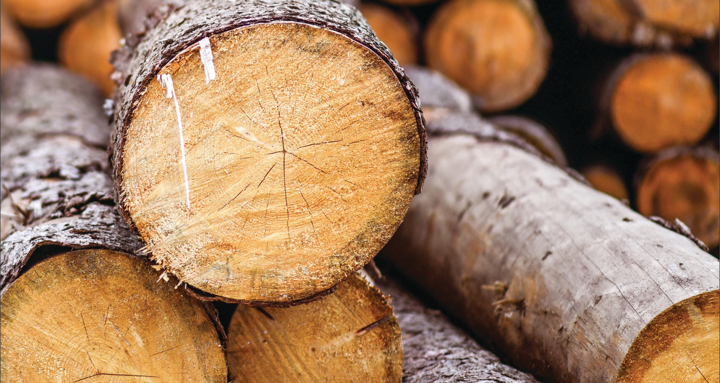 2021 Economic Benefits of Forest Industry in Georgia